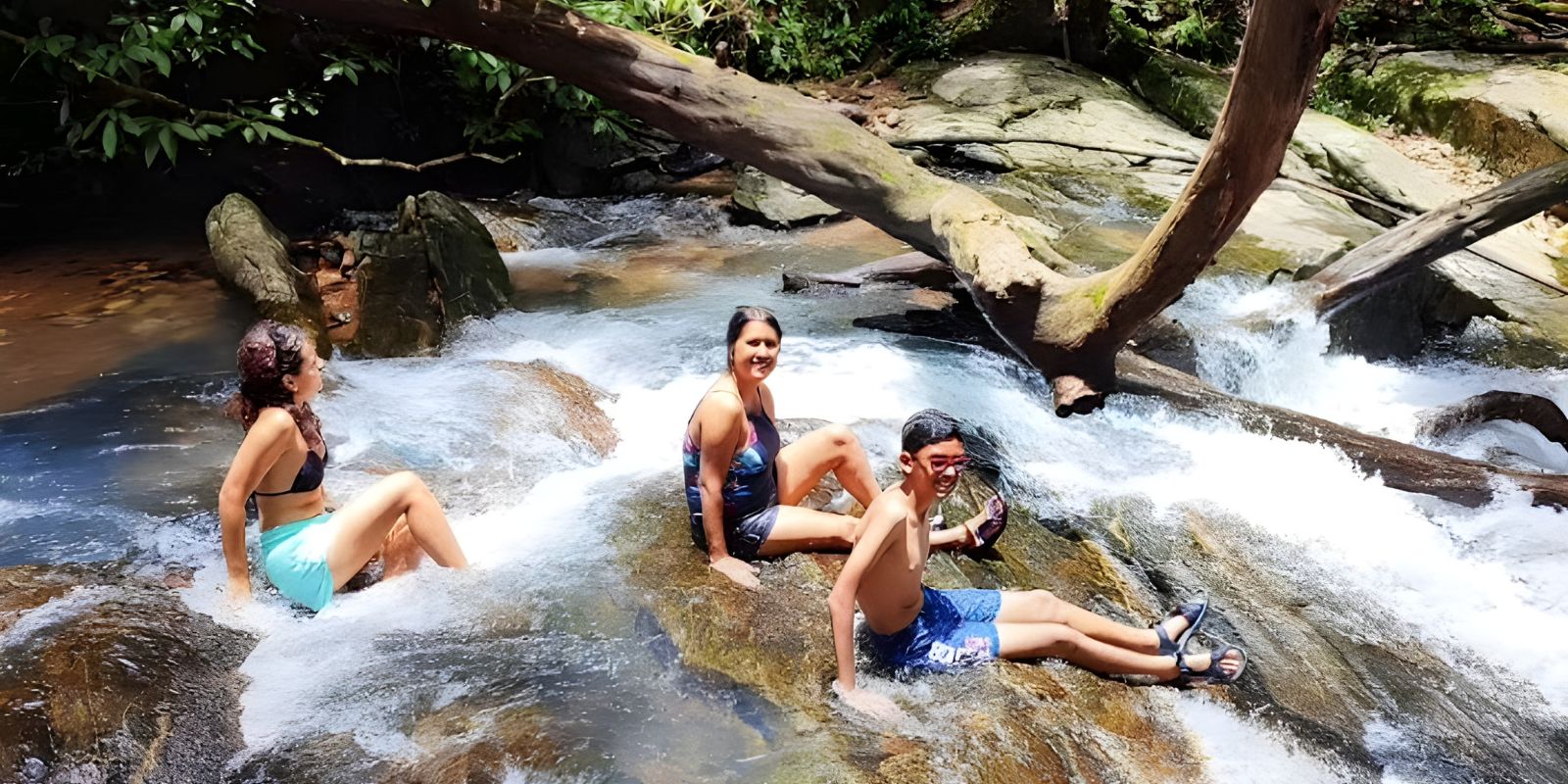 LetsGoa - Jungle Chill Goa – Forest Relaxation & Nature Escape