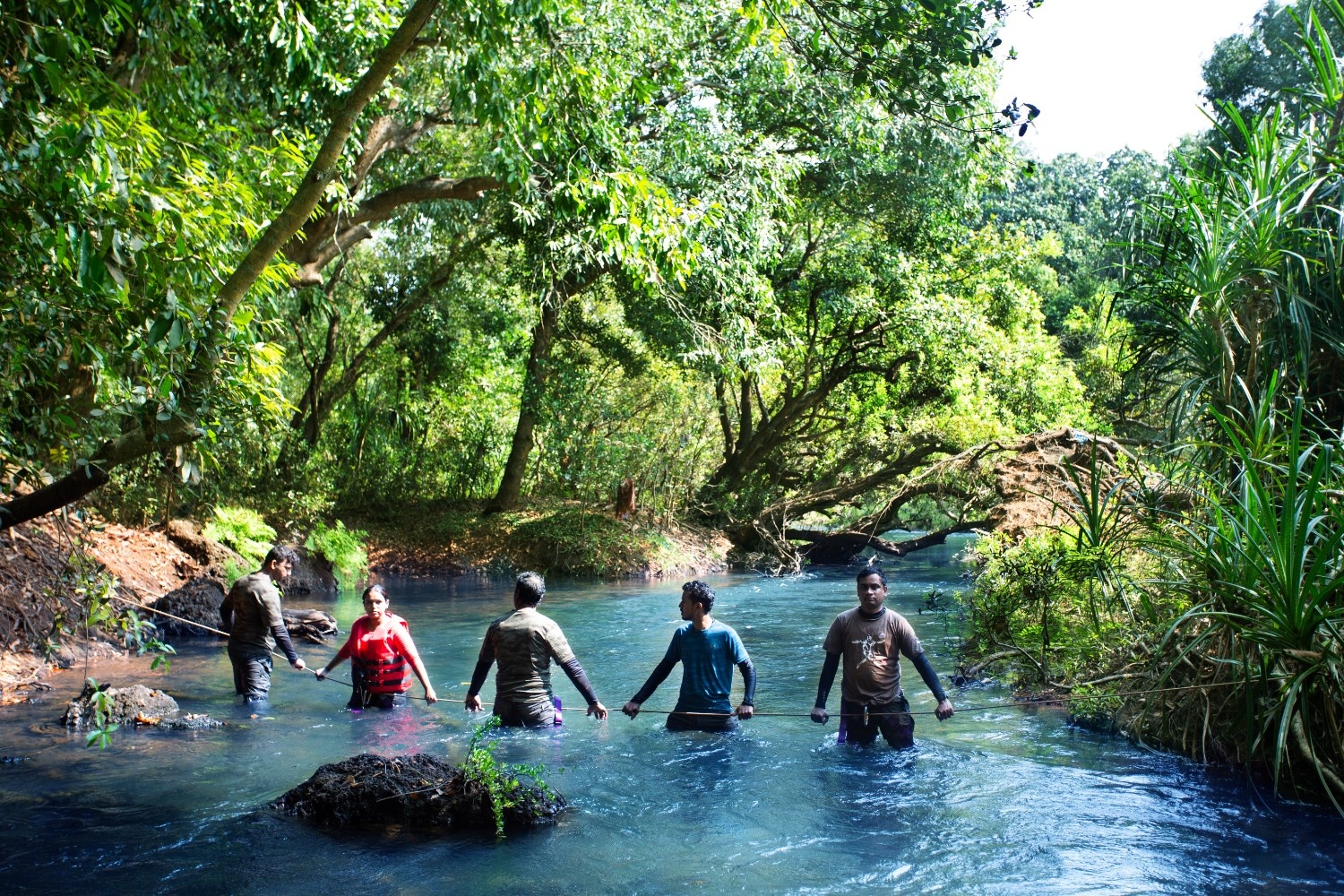 LetsGoa - Goa Riverside Adventure | Forest Trek Experience for Beginners