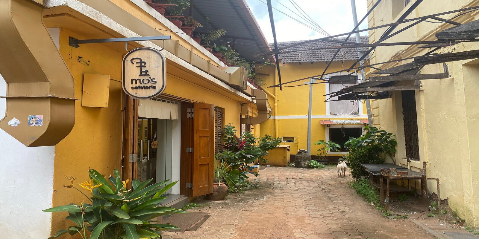 MO's Cafe & Bistro