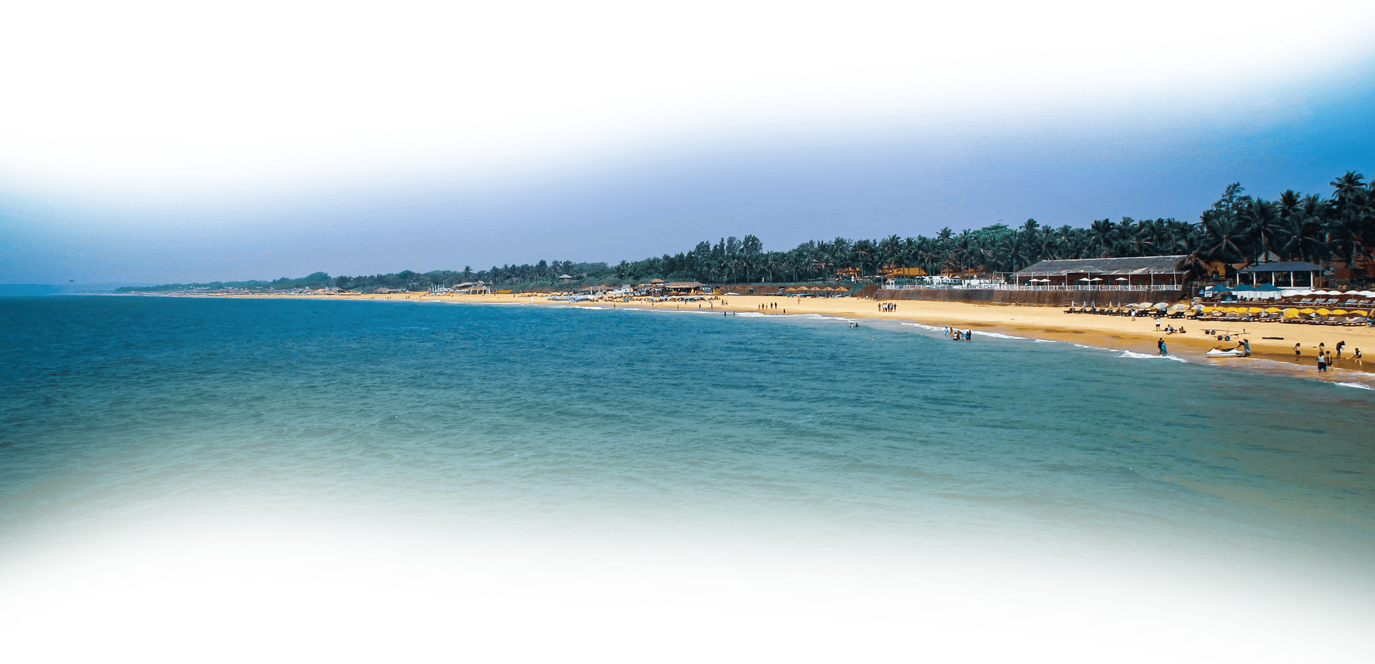 footer image